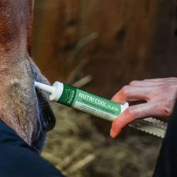 Seringue anti-stress cheval Nutri'Cool Flash - Ravene
