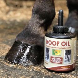 Huile à sabot Hoof Oil date courte - TRM