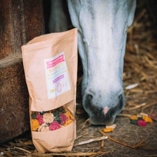 Crackers cheval Mix de 4 recettes 500g - Happy Crackers