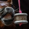 Pierre à lécher cheval Happy Wild - Happy Crackers