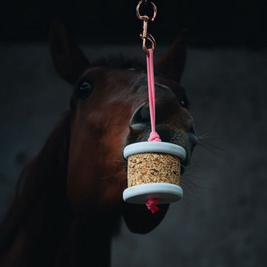 Pierre à lécher cheval Happy Wild - Happy Crackers