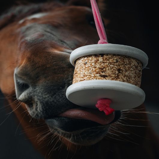 Pierre à lécher cheval Happy Wild - Happy Crackers