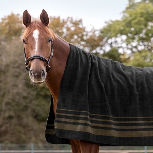 Chemise polaire cheval Sölden - Waldhausen