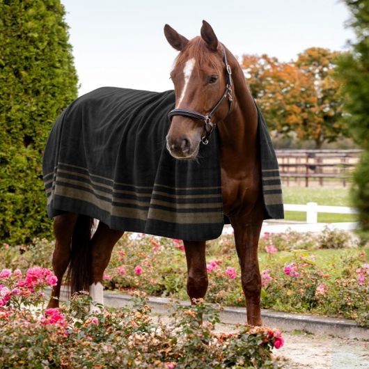 Chemise polaire cheval Sölden - Waldhausen
