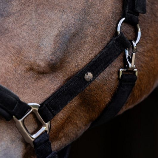 Licol cheval St Gallen - Waldhausen