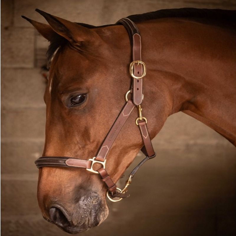 Licol cuir cheval 3 mousquetons - Paddock Sports 