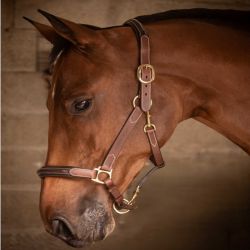 Licol cuir cheval 3 mousquetons - Paddock Sports 