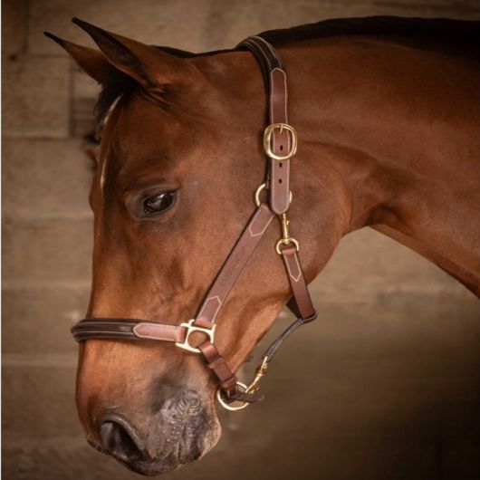 Licol cuir cheval 3 mousquetons - Paddock Sports Licol cuir cheval 3 mousquetons - Paddock Sports