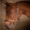 Licol cuir cheval 3 mousquetons - Paddock Sports 