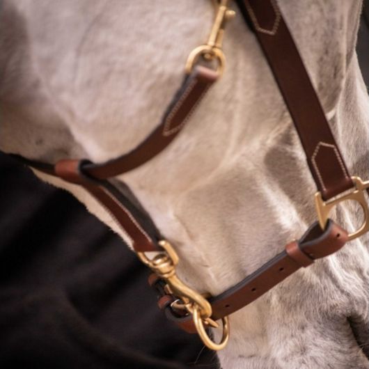 Licol cuir cheval 3 mousquetons - Paddock Sports 