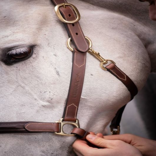 Licol cuir cheval 3 mousquetons - Paddock Sports 