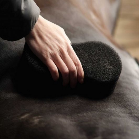 Eponge magique cheval nettoyante Shine Scrubber - Lami-Cell