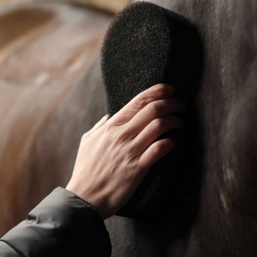 Eponge magique cheval nettoyante Shine Scrubber - Lami-Cell