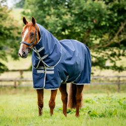 Couverture extérieur cheval avec couvre-cou Amigo Ripstop Plus 0g 900 deniers - Horseware
