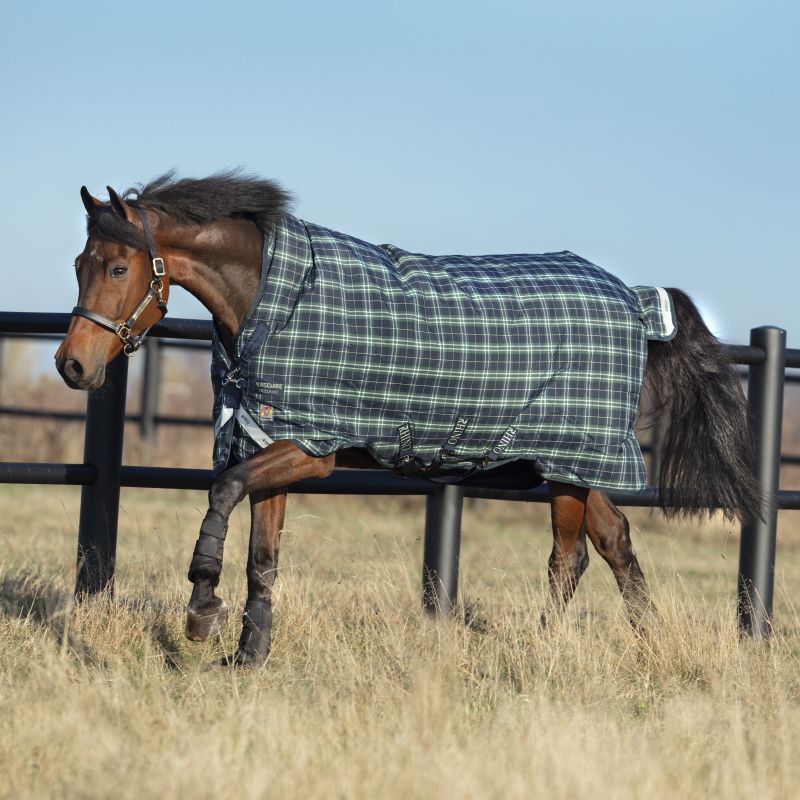 Couverture extérieur cheval 250g Rhino Wug - Horseware