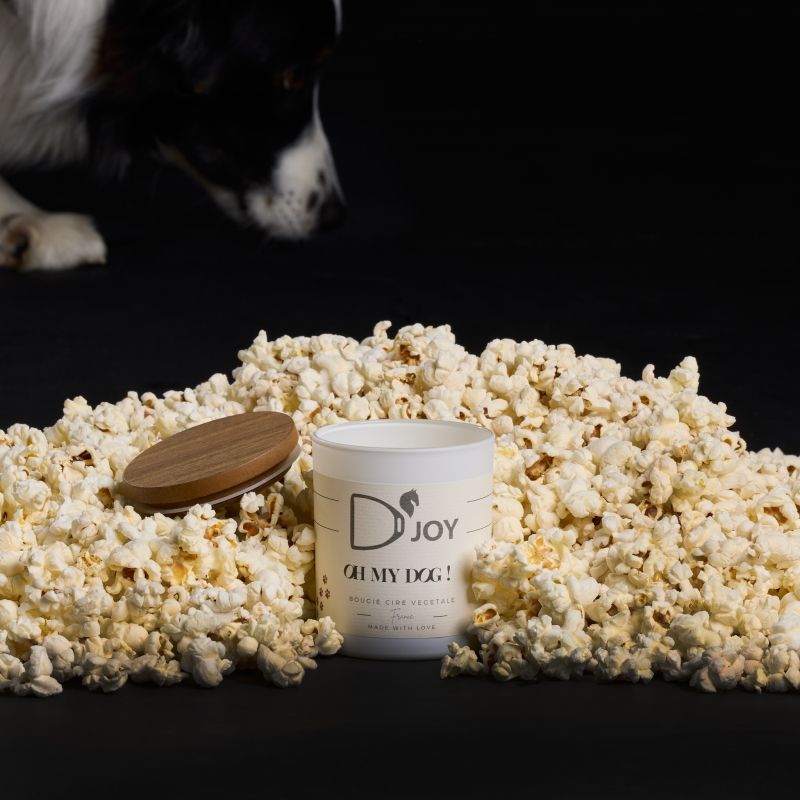 Bougie Oh My Dog Classique - D'joy