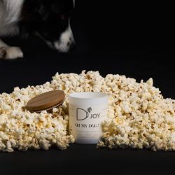 Bougie Oh My Dog Classique - D'joy