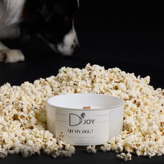Bougie Oh My Dog Grand format - D'joy Bougie Oh My Dog Grand format - D'joy