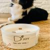 Bougie Oh My Dog Grand format - D'joy