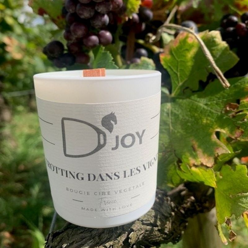Bougie équitation Trotting dans les vignes Mini format - D'joy
