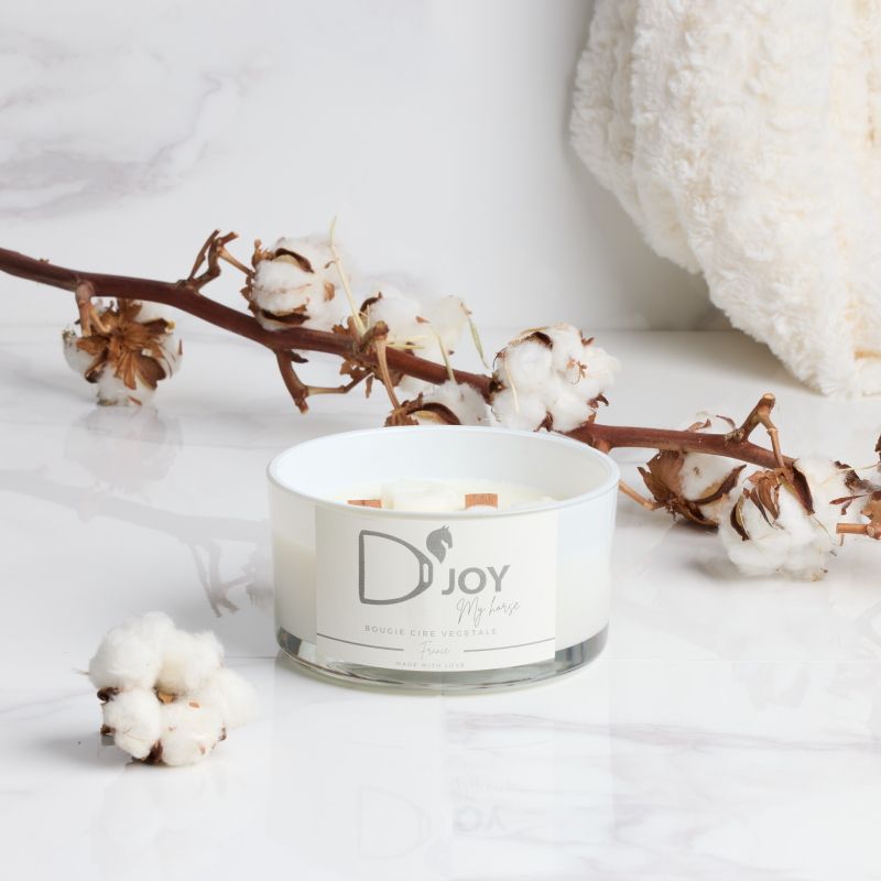 Bougie cheval équitation My Horse Grand format - D'joy 