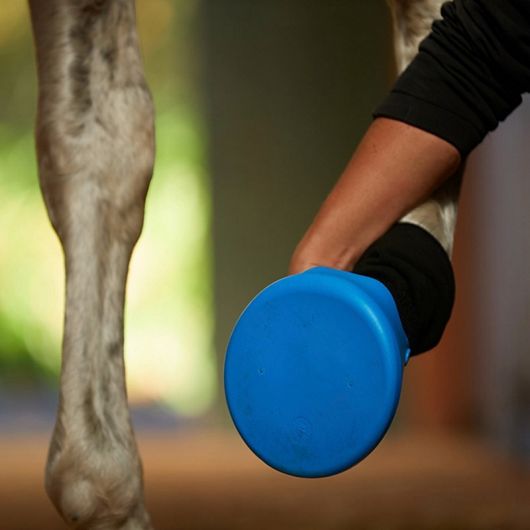 Hipposandale de soin cheval - Tubbease