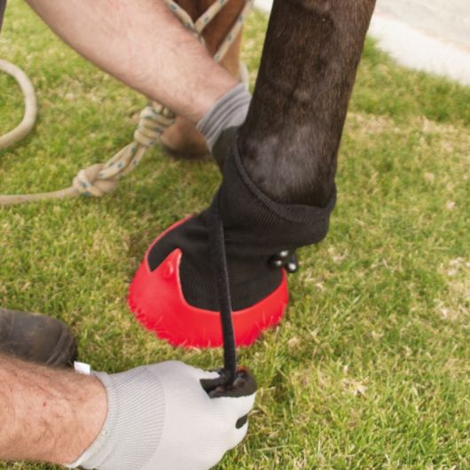 Hipposandale de soin cheval - Tubbease