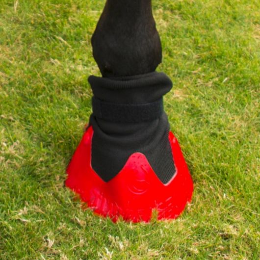 Hipposandale de soin cheval - Tubbease