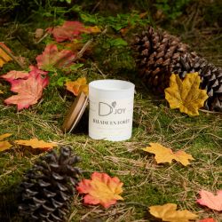 Bougie équitation Balade en forêt Classique - D'joy 