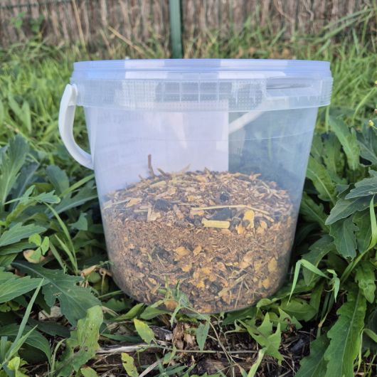 Comfort Mash cheval unidose prêt à l'emploi - Red Mills