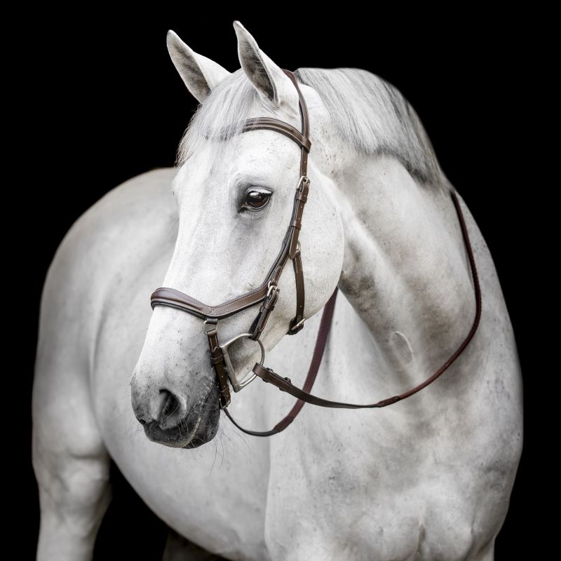 Bridon anatomique Micklem Rambo Competition Deluxe - Horseware