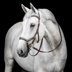 Bridon anatomique Micklem Rambo Competition Deluxe - Horseware