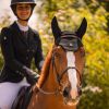 Bonnet anti-mouches cheval Swarovski Flyshield - Samshield