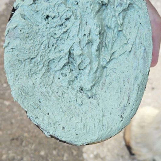 Kit argile sabot cheval Thermal Hoof Clay - Keratex 