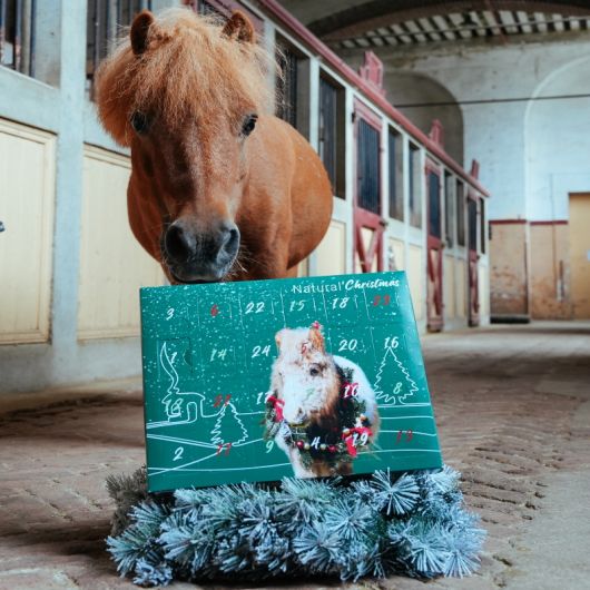 Calendrier de l'avent pour chevaux Natural'Christmas Gourmet - Natural'Innov