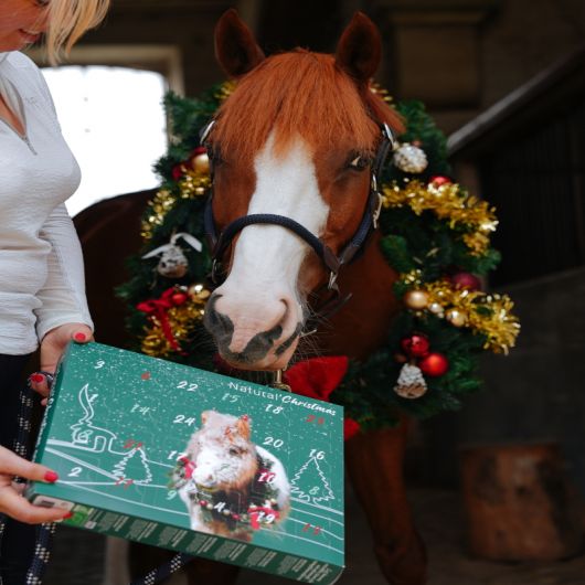 Calendrier de l'avent pour chevaux Natural'Christmas Gourmet - Natural'Innov