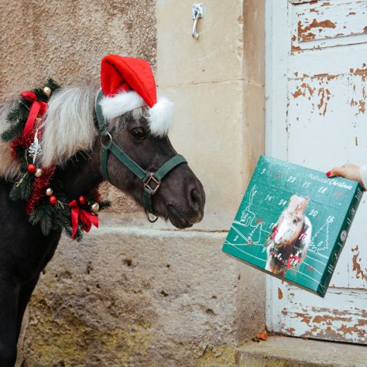 Calendrier de l'avent pour chevaux Natural'Christmas Gourmet - Natural'Innov