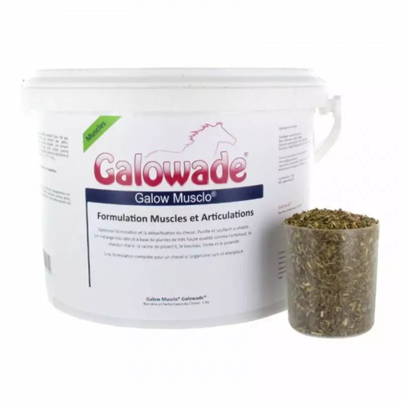 Galow Musclo Muscles Tendons cheval Date courte - Galowade