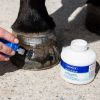 Vernis sabot cheval transparent et protecteur Hoof Shield - Keratex