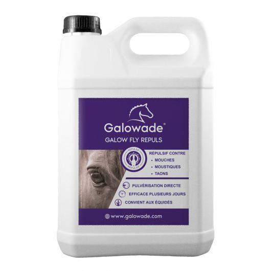 Spray anti-mouche cheval Galow Fly Repuls bidon 5l date courte - Galowade