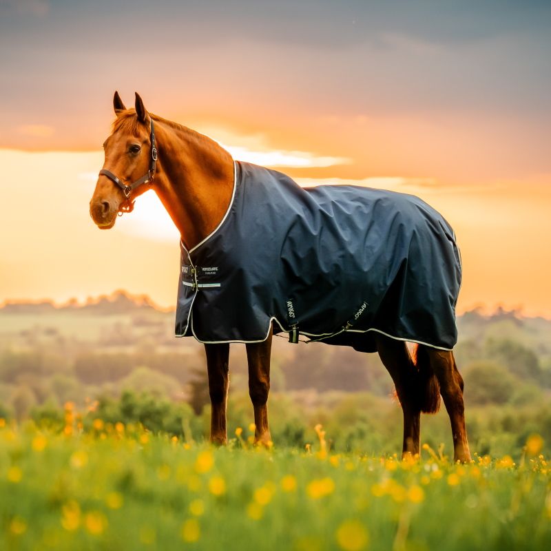 Couverture extérieur poney Amigo Ripstop 50g 900 deniers - Horseware