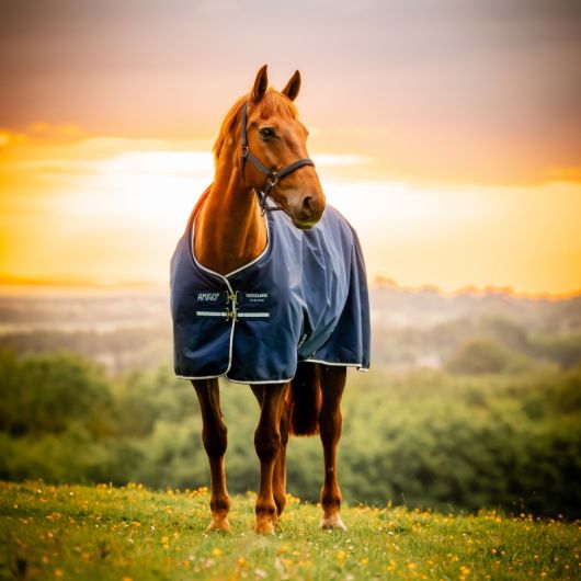 Couverture extérieur poney Amigo Ripstop 0g 900 deniers - Horseware