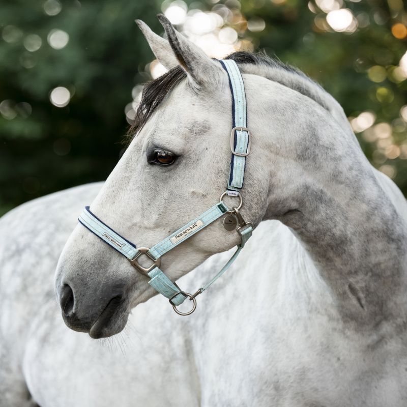 Licol de sécurité cheval Fieldsafe - Horseware