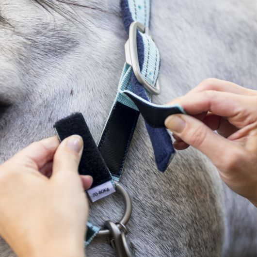Licol de sécurité cheval Fieldsafe - Horseware