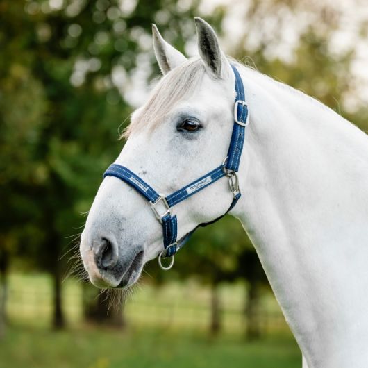 Licol de sécurité cheval Fieldsafe - Horseware