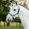 Licol de sécurité cheval Fieldsafe - Horseware
