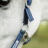 Licol de sécurité cheval Fieldsafe - Horseware