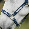 Licol de sécurité cheval Fieldsafe - Horseware