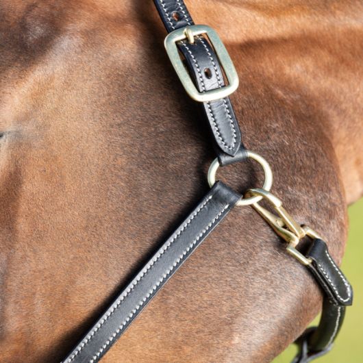 Licol cuir cheval coutures crèmes - HFI 