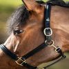 Licol cuir cheval muserolle bombée - HFI